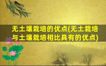 无土壤栽培的优点(无土栽培与土壤栽培相比具有的优点)