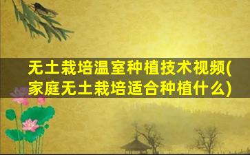 无土栽培温室种植技术视频(家庭无土栽培适合种植什么)