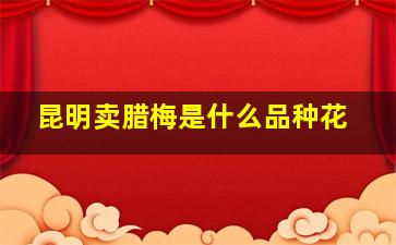 昆明卖腊梅是什么品种花