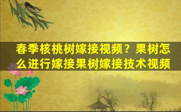 春季核桃树嫁接视频？果树怎么进行嫁接果树嫁接技术视频