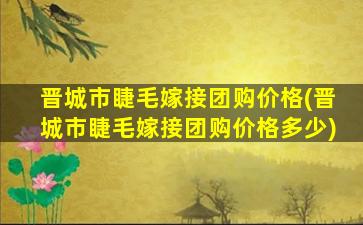 晋城市睫毛嫁接团购价格(晋城市睫毛嫁接团购价格多少)