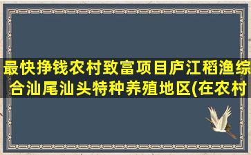 最快挣钱农村致富项目庐江稻渔综合汕尾汕头特种养殖地区(在农村干什么挣钱致富有哪些)