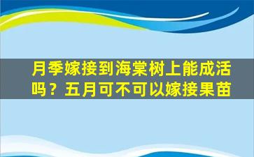 月季嫁接到海棠树上能成活吗？五月可不可以嫁接果苗