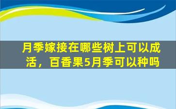 月季嫁接在哪些树上可以成活，百香果5月季可以种吗