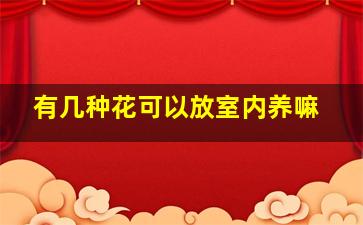 有几种花可以放室内养嘛