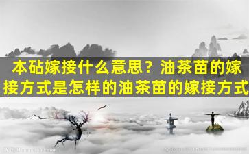 本砧嫁接什么意思？油茶苗的嫁接方式是怎样的油茶苗的嫁接方式