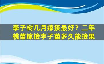 李子树几月嫁接最好？二年桃苗嫁接李子苗多久能接果