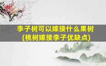 李子树可以嫁接什么果树(桃树嫁接李子优缺点)