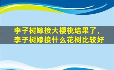 李子树嫁接大樱桃结果了，李子树嫁接什么花树比较好