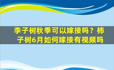 李子树秋季可以嫁接吗？柿子树6月如何嫁接有视频吗