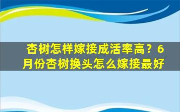 杏树怎样嫁接成活率高？6月份杏树换头怎么嫁接最好