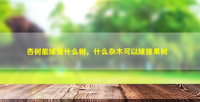 杏树能嫁接什么树，什么杂木可以嫁接果树