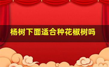 杨树下面适合种花椒树吗