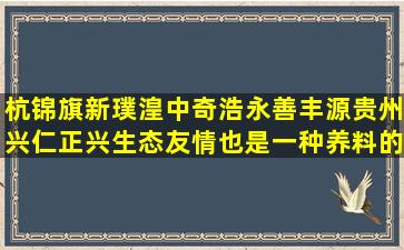 杭锦旗新璞湟中奇浩永善丰源贵州兴仁正兴生态友情也是一种养料的结尾