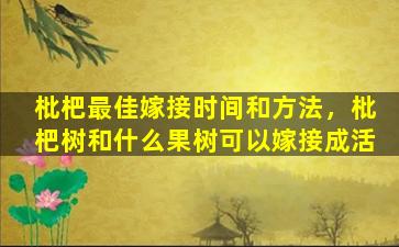 枇杷最佳嫁接时间和方法，枇杷树和什么果树可以嫁接成活