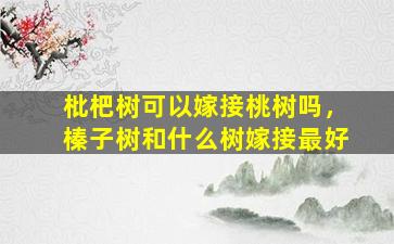 枇杷树可以嫁接桃树吗，榛子树和什么树嫁接最好