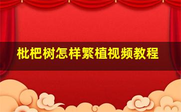 枇杷树怎样繁植视频教程