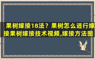 果树嫁接18法？果树怎么进行嫁接果树嫁接技术视频,嫁接方法图解