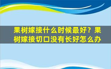 果树嫁接什么时候最好？果树嫁接切口没有长好怎么办