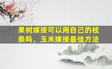 果树嫁接可以用自己的枝条吗，玉米嫁接最佳方法