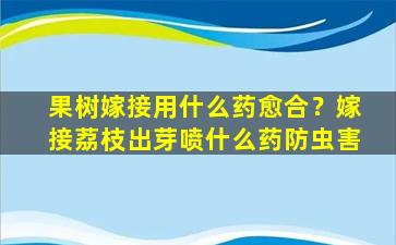 果树嫁接用什么药愈合？嫁接荔枝出芽喷什么药防虫害