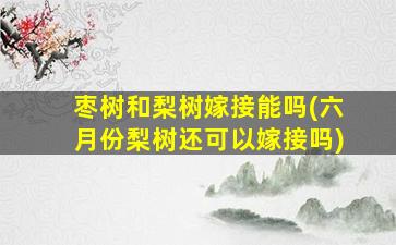 枣树和梨树嫁接能吗(六月份梨树还可以嫁接吗)