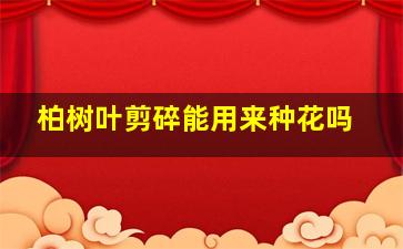 柏树叶剪碎能用来种花吗