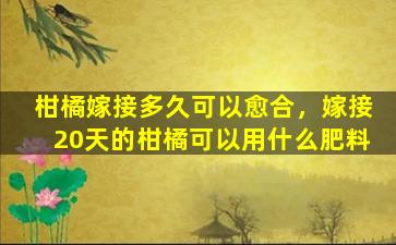 柑橘嫁接多久可以愈合，嫁接20天的柑橘可以用什么肥料