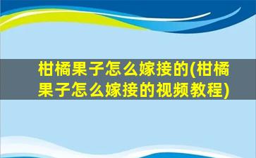 柑橘果子怎么嫁接的(柑橘果子怎么嫁接的视频教程)