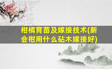 柑橘育苗及嫁接技术(新会柑用什么砧木嫁接好)