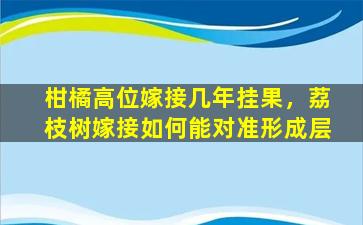 柑橘高位嫁接几年挂果，荔枝树嫁接如何能对准形成层