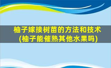 柚子嫁接树苗的方法和技术(柚子能催熟其他水果吗)