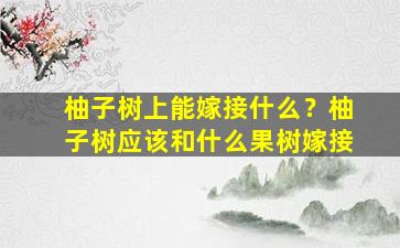 柚子树上能嫁接什么？柚子树应该和什么果树嫁接