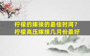 柠檬的嫁接的最佳时间？柠檬高压嫁接几月份最好