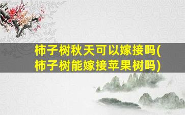 柿子树秋天可以嫁接吗(柿子树能嫁接苹果树吗)