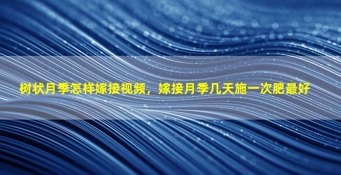 树状月季怎样嫁接视频，嫁接月季几天施一次肥最好