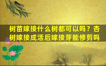 树苗嫁接什么树都可以吗？杏树嫁接成活后嫁接芽能修剪吗