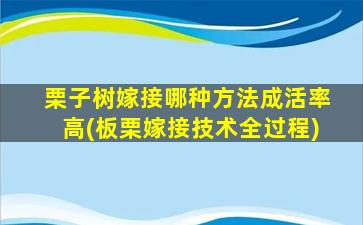 栗子树嫁接哪种方法成活率高(板栗嫁接技术全过程)