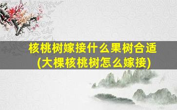 核桃树嫁接什么果树合适(大棵核桃树怎么嫁接)