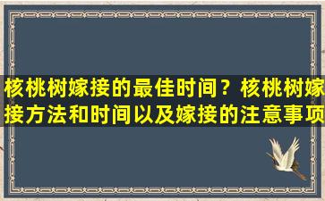 核桃树嫁接的最佳时间？核桃树嫁接方法和时间以及嫁接的注意事项