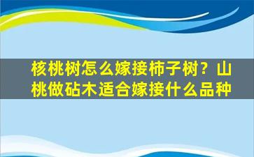 核桃树怎么嫁接柿子树？山桃做砧木适合嫁接什么品种