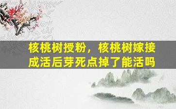 核桃树授粉，核桃树嫁接成活后芽死点掉了能活吗