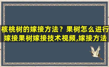 核桃树的嫁接方法？果树怎么进行嫁接果树嫁接技术视频,嫁接方法图解