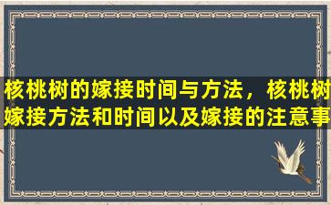 核桃树的嫁接时间与方法，核桃树嫁接方法和时间以及嫁接的注意事项