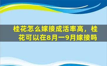 桂花怎么嫁接成活率高，桂花可以在8月一9月嫁接吗