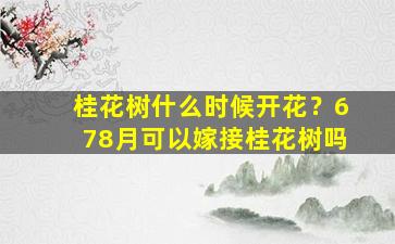 桂花树什么时候开花？678月可以嫁接桂花树吗