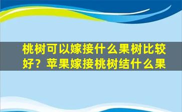 桃树可以嫁接什么果树比较好？苹果嫁接桃树结什么果