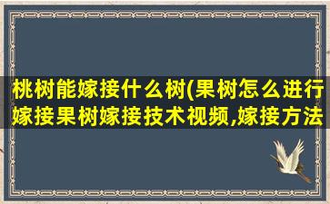 桃树能嫁接什么树(果树怎么进行嫁接果树嫁接技术视频,嫁接方法图解)