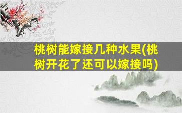 桃树能嫁接几种水果(桃树开花了还可以嫁接吗)