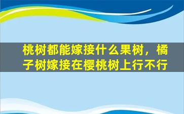 桃树都能嫁接什么果树，橘子树嫁接在樱桃树上行不行